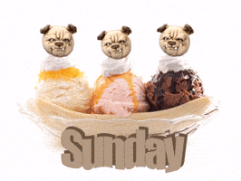 Dog Sunday GIF by MUG ROOT BEER