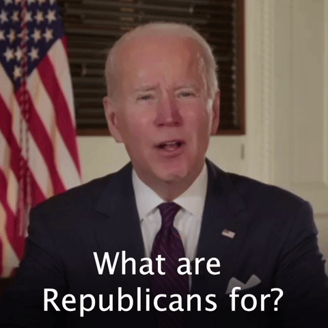 What are Republicans for?