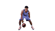 Balling Liga Endesa Sticker by ACB