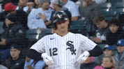 Celebrate White Sox GIF by MLB