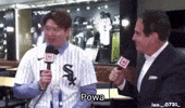 Major League Baseball GIF