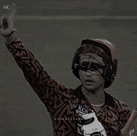 Ipl Sunrisershyderabad GIF