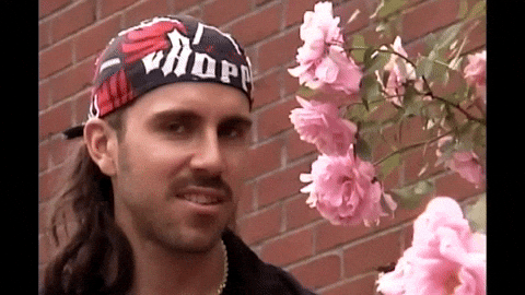 Lache Pas Man GIF by Jerry Tremblay