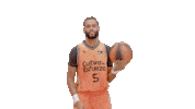 Liga Endesa Spinning Sticker by ACB