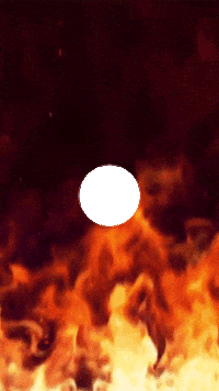 GIF by Brazetos