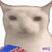 MKJQ reaction cat blur m9k GIF