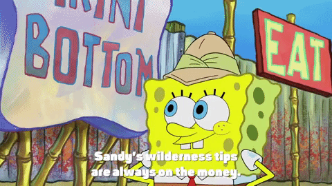 season 9 lost in bikini bottom GIF by SpongeBob SquarePants