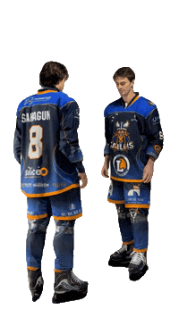 Celebration Goal Sticker by Hockey Club Châlonnais