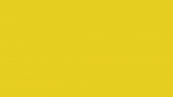 Art Video GIF by jorgemariozuleta