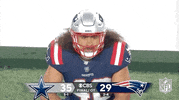 New England Patriots Football GIF by NFL