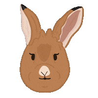 Happy Wink Sticker by Ann of Facedit
