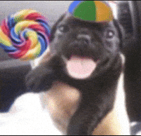 Batatamookiepink GIF