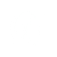 WebbSchoolofKnoxville spartan webb webbschoolknoxville webbschool Sticker
