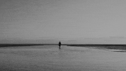 Hallelujah GIF by Brother Leo