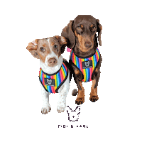 Hot Dog Love Sticker by Fibi & Karl