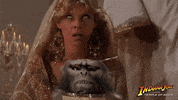 Pass Out Indiana Jones And The Temple Of Doom GIF by Indiana Jones