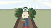 Nuexperience GIF by Northeastern University