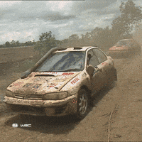 Fail Oh No GIF by FIA World Rally Championship