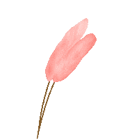 Bunny Tail Sticker