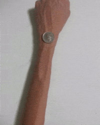 짤 GIF