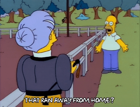 Talking Season 3 GIF by The Simpsons