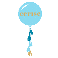 Ballonpost Sticker by bycerise