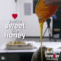 Valentines Day Bear GIF by Jackass Forever
