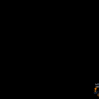 Biene GIF by Greiwing