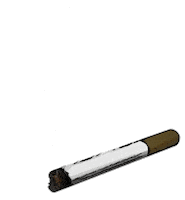 American Woman Smoke Sticker by Paramount Network