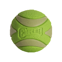 Fetch Sticker by Chuckit!