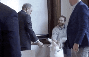 Mike Bloomberg Dog GIF by Election 2020