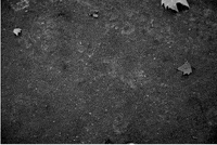 Paatrice chalk craie paatrice ouature GIF