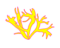 Caminatas Sticker