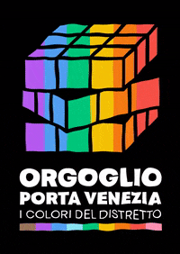 Orgoglioportavenezia rainbow pride lgbtq pride month GIF