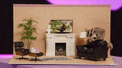 sugar glider squirrel GIF by Originals
