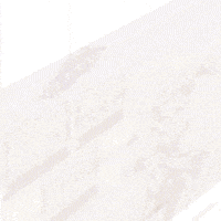 Ricabetoficial GIF by RicaBet