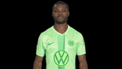Germany Win GIF by VfL Wolfsburg