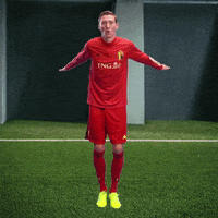 Flying Red Devils GIF by ING Belgium