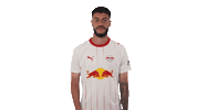 Rb Leipzig Football Sticker by Bundesliga