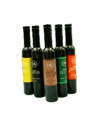 Chicchefco chef chic co com Sticker