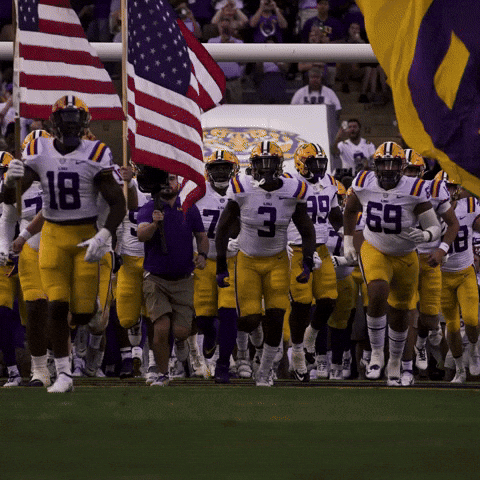 Tiger Stadium Football GIF by LSU Tigers