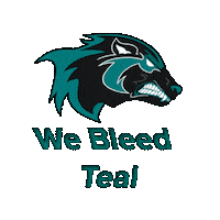AlisoNiguelFootball anhs aliso football bleedteal anhsteal Sticker