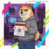 Holding Shiba Inu GIF by Doge Pound