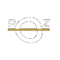PRJKTZERO car cars airride alignment Sticker