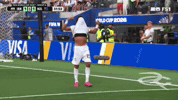 Fifa World Cup Iran GIF by Respective