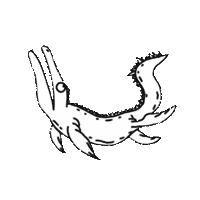 Dinosaur Dino Sticker