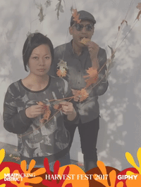 harvestfestny GIF by Meatpacking District