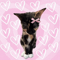 Puddles GIF