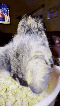 Puddles GIF