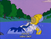 homer simpson episode 3 GIF